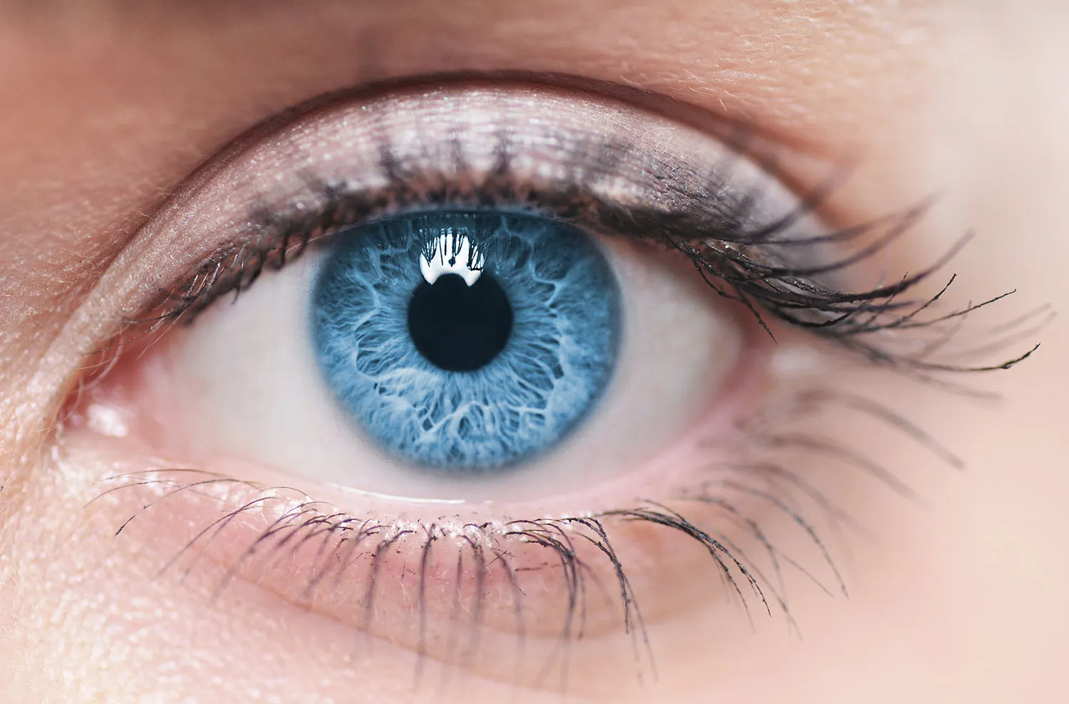 blepharoplasty